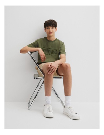 Dark Olive colour