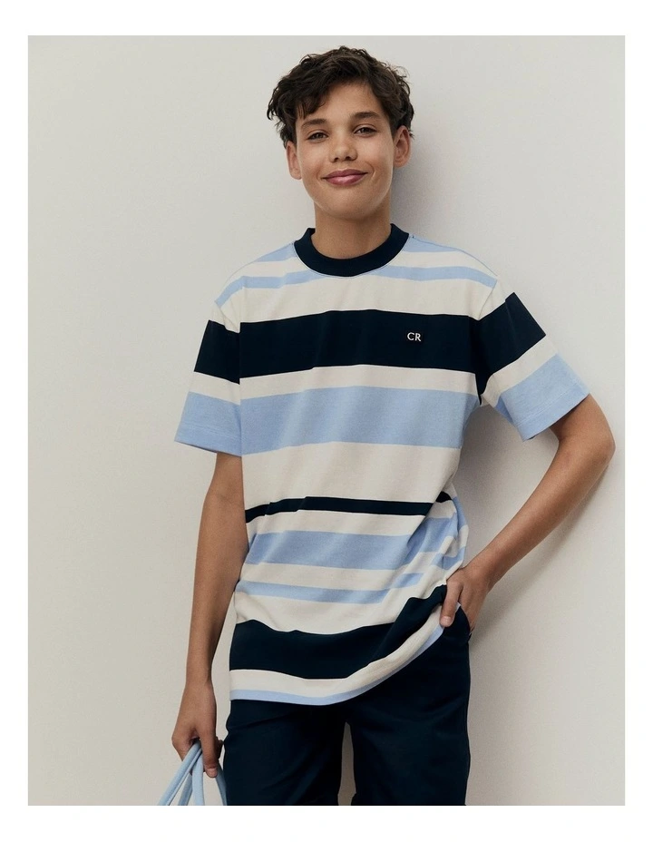Teen Australian Cotton Relaxed Fit Stripe T-shirt in Cloud image 2