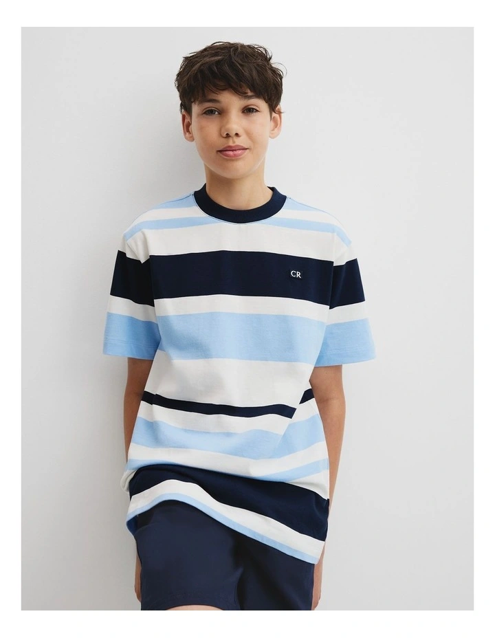 Teen Australian Cotton Relaxed Fit Stripe T-shirt in Cloud image 3