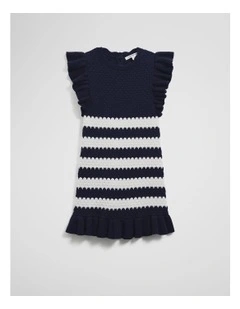 Stripe Knit Dress in Navy Stripe