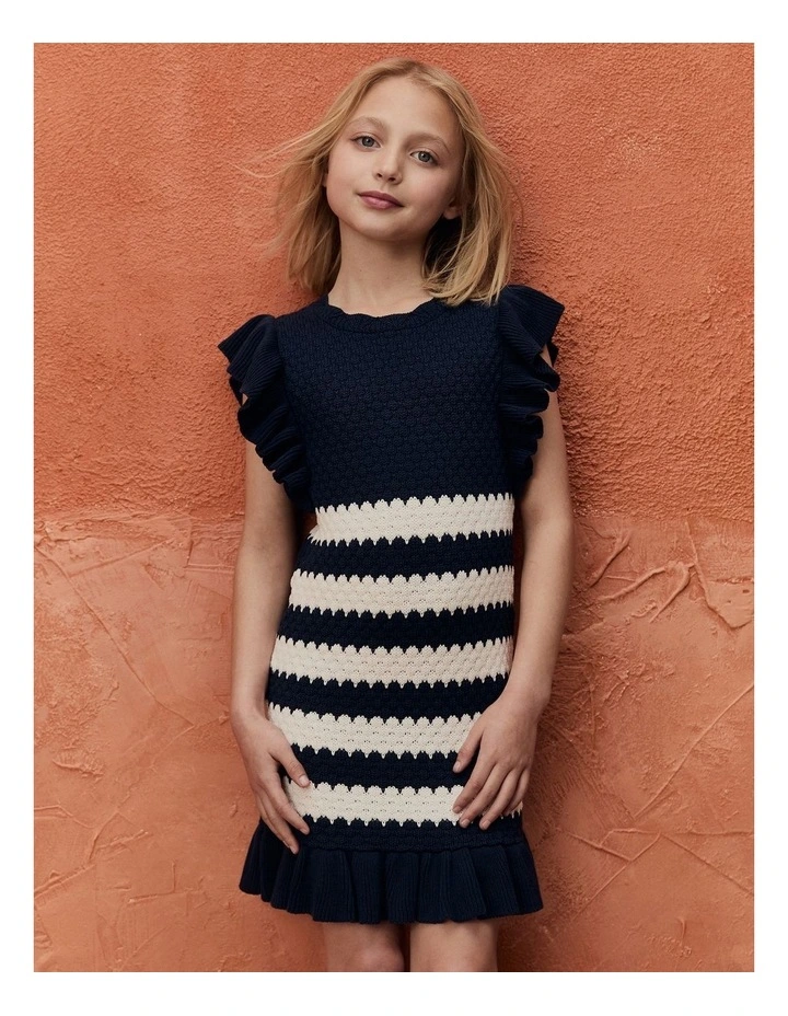 Stripe Knit Dress in Navy Stripe image 2