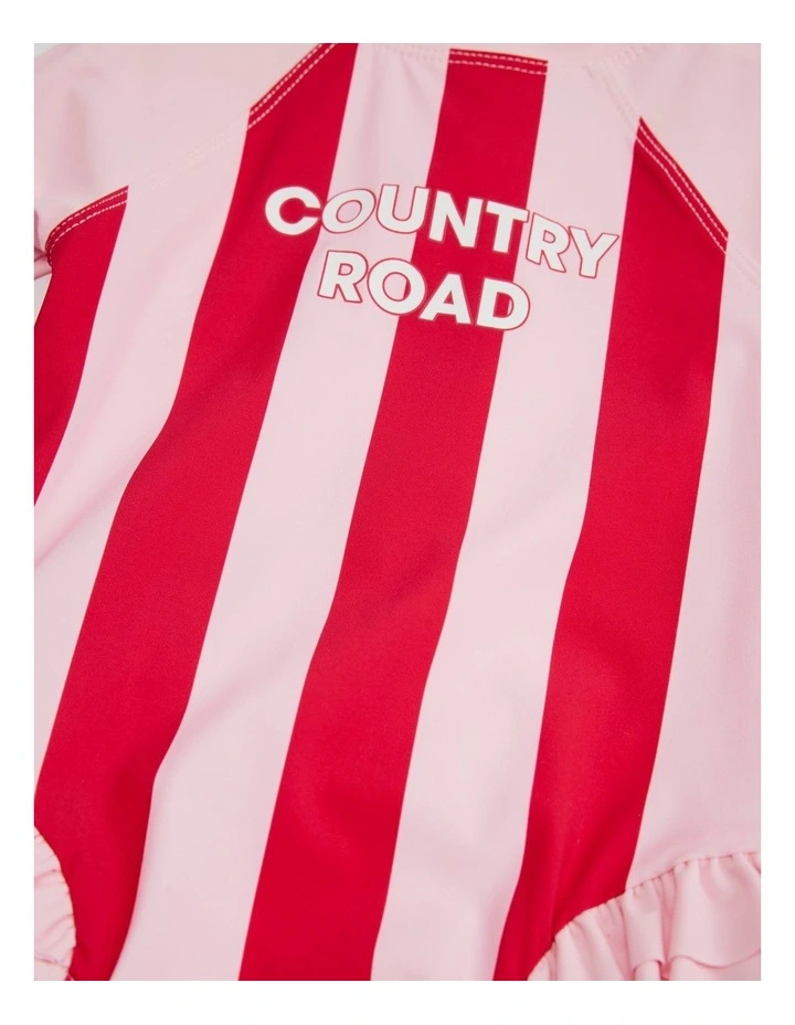 Block Stripe Swimsuit in Multi Pink image 3