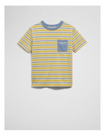 Mustard Stripe colour