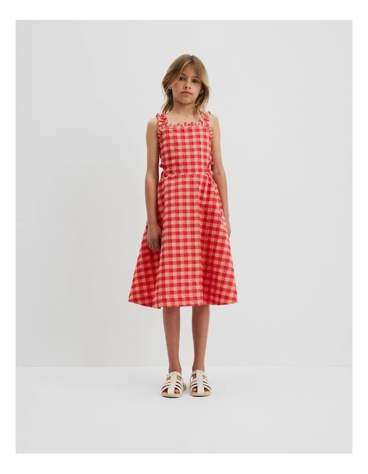 Gingham Midi Dress in Cranberry image 1