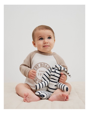 Mushroom Multi colour