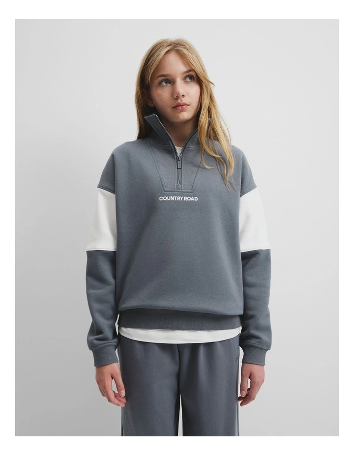 Spice Logo Zip Sweat in Slate image 2