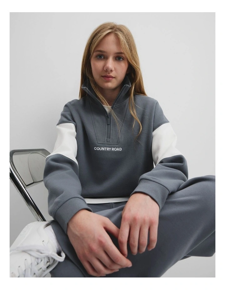 Spice Logo Zip Sweat in Slate image 3