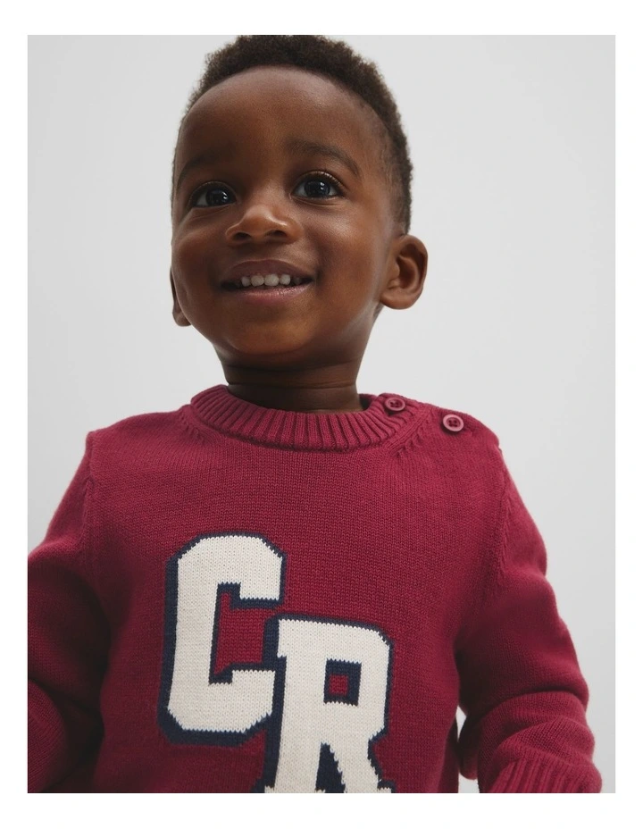 Country Road Intarsia Knit in Currant image 2