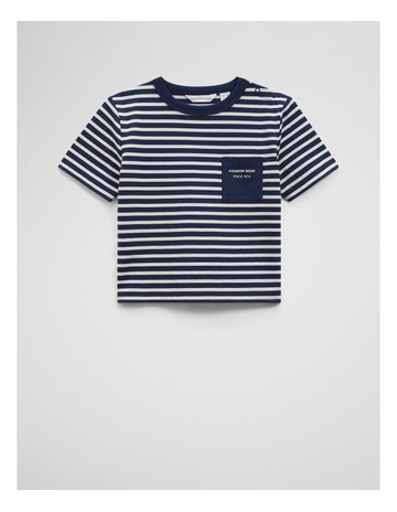 Navy Stripe colour