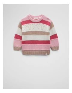 Striped Knit in Multicolour