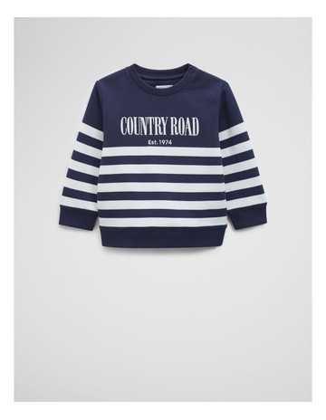 Navy Stripe colour