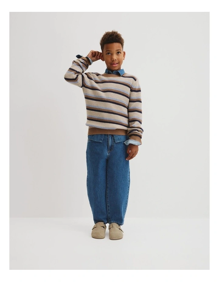 Crew Neck Stripe Knit in Multi image 1