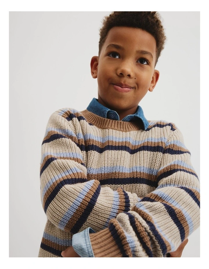 Crew Neck Stripe Knit in Multi image 2