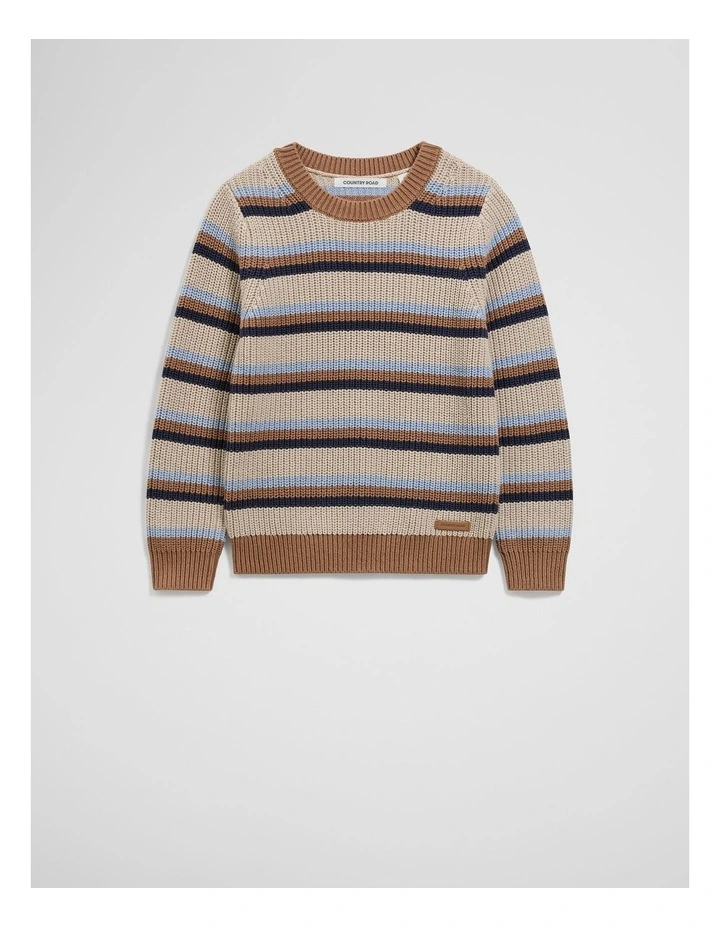 Crew Neck Stripe Knit in Multi image 4