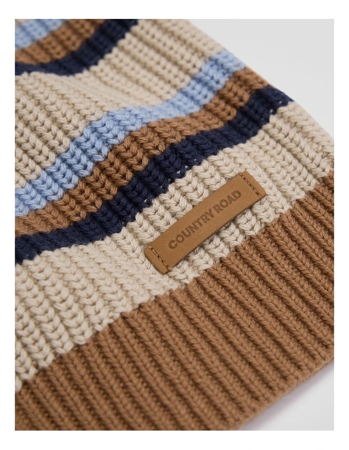 Crew Neck Stripe Knit in Multi image 5