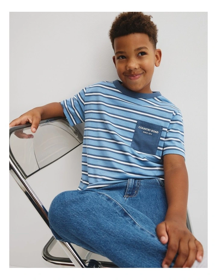 Organically Grown Cotton Pocket T-shirt in Glacier Stripe image 2