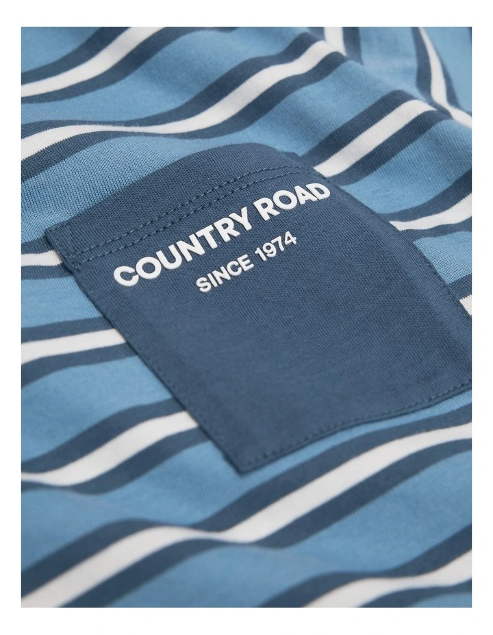 Organically Grown Cotton Pocket T-shirt in Glacier Stripe image 5