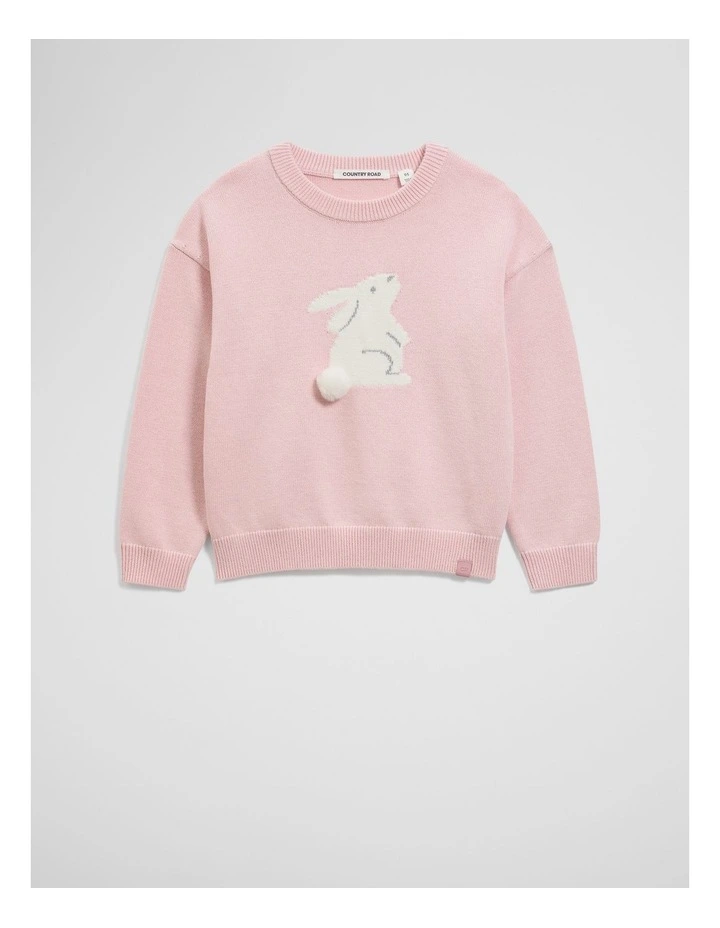 Organically Grown Cotton Blend Bunny Intarsia Knit in Mineral Pink image 4