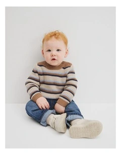 Crew Neck Stripe Knit Sweater in Multi