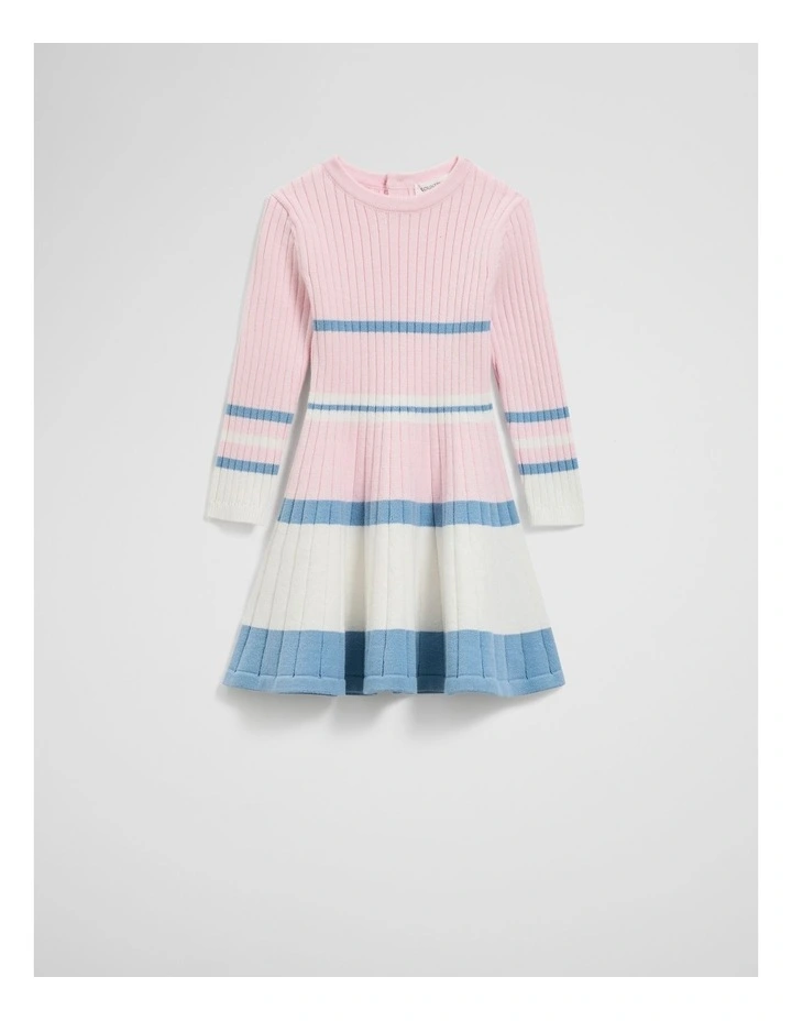 Organically Grown Cotton Blend Variegated Stripe Knit Dress in Multi image 1