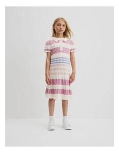 Stripe Polo Knit Dress in Multi Stripe