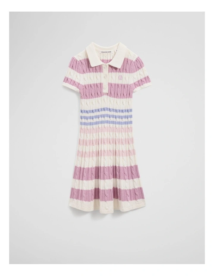 Stripe Polo Knit Dress in Multi Stripe image 4