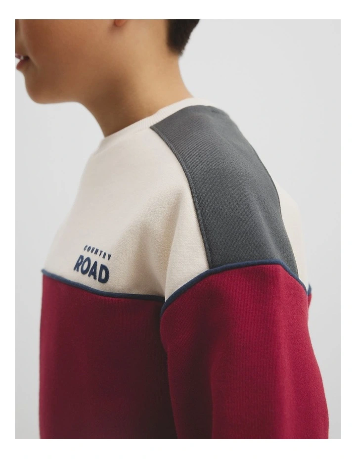 Australian Cotton Spliced Sweat in Currant image 2