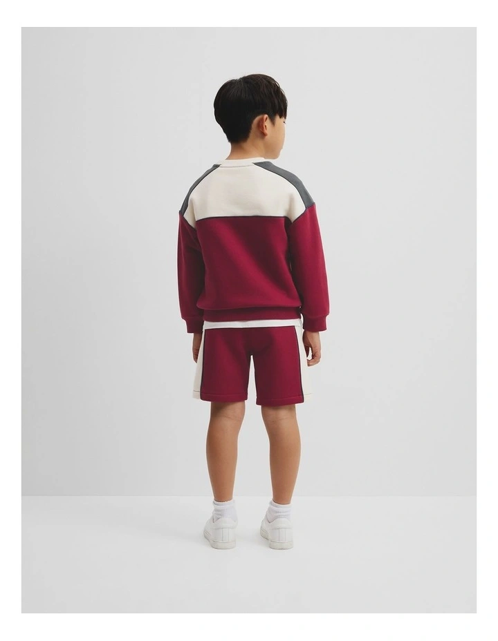 Australian Cotton Spliced Sweat in Currant image 3