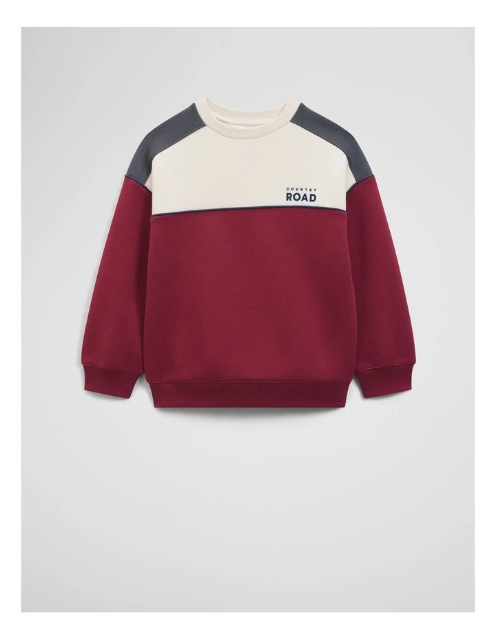 Australian Cotton Spliced Sweat in Currant image 4