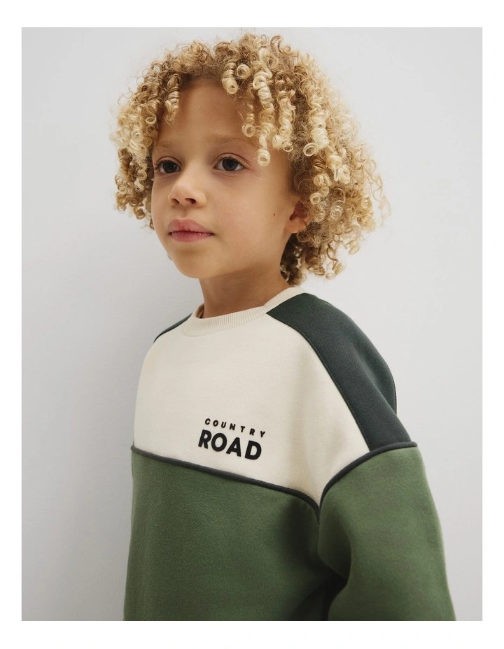 Australian Cotton Spliced Sweat in Dusty Sage image 2