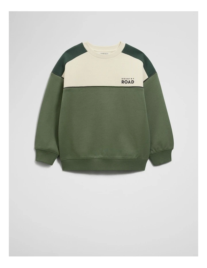 Australian Cotton Spliced Sweat in Dusty Sage image 4