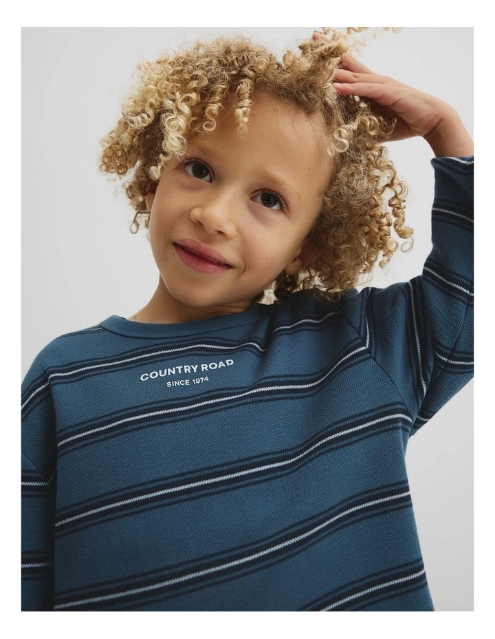 Stripe Long Sleeve Pique T-shirt in Deep Blue image 2