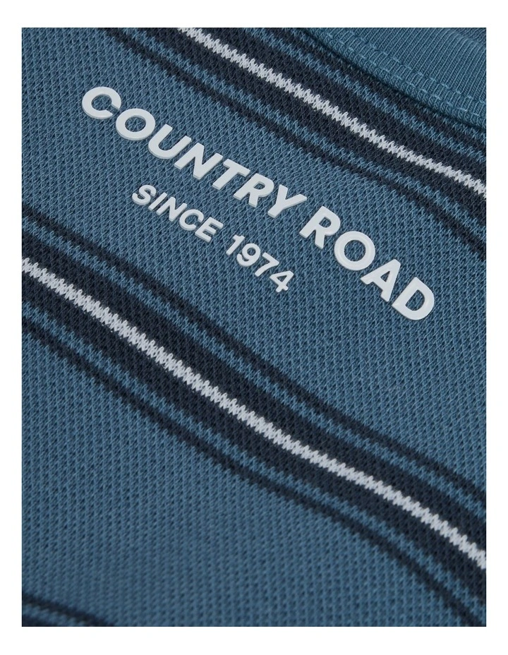 Stripe Long Sleeve Pique T-shirt in Deep Blue image 5