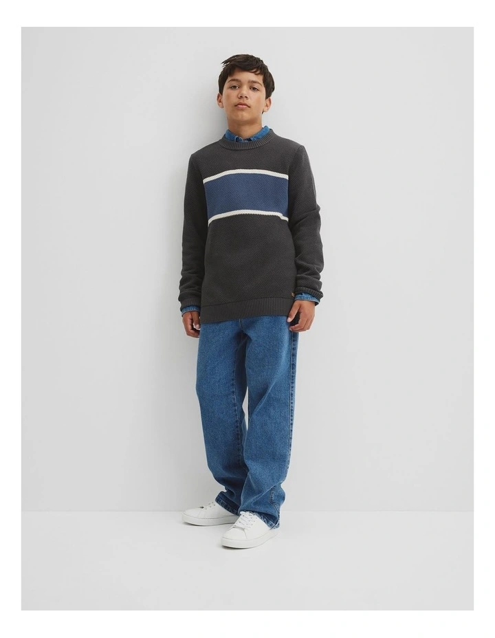 Teen Australian Cotton Stripe Textured Knit in Graphite image 1