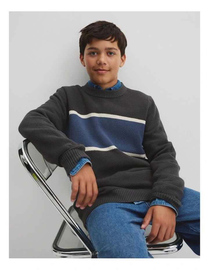 Teen Australian Cotton Stripe Textured Knit in Graphite image 2