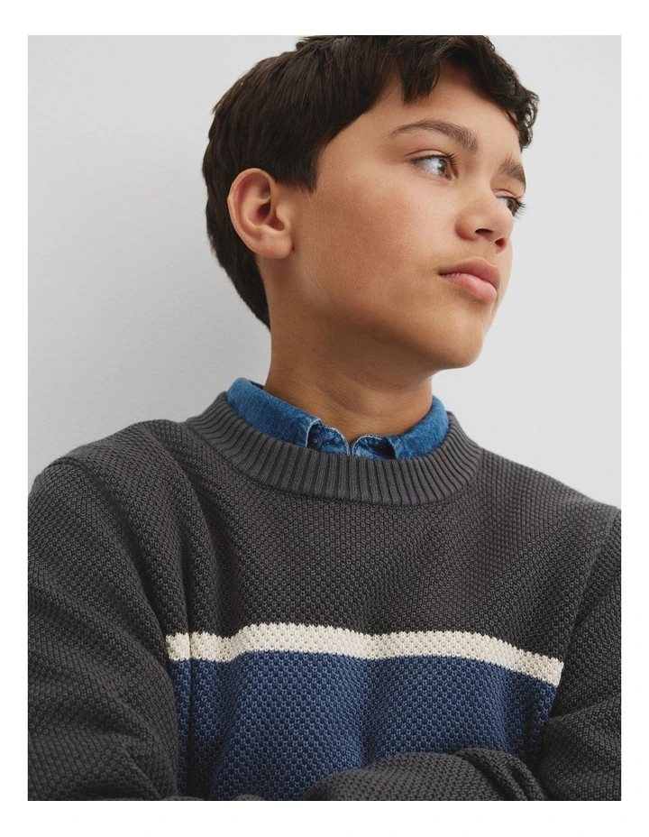 Teen Australian Cotton Stripe Textured Knit in Graphite image 3