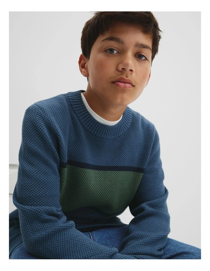 Teen Australian Cotton Stripe Textured Knit in Deep Blue image 3