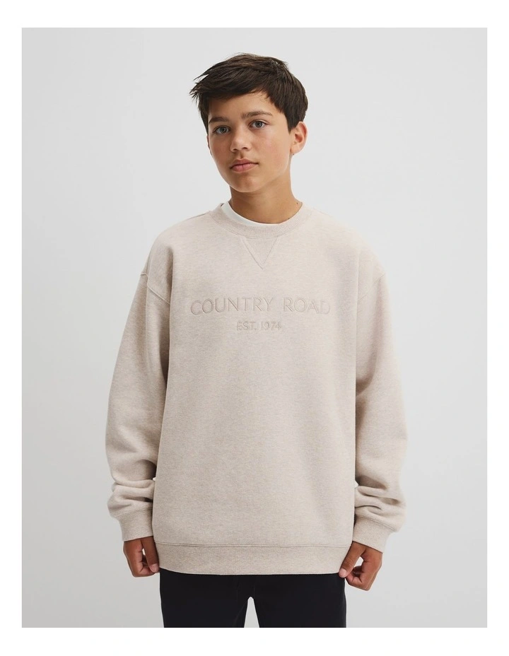 Teen Cotton Logo Crew Neck Sweat in Stone Marle image 2