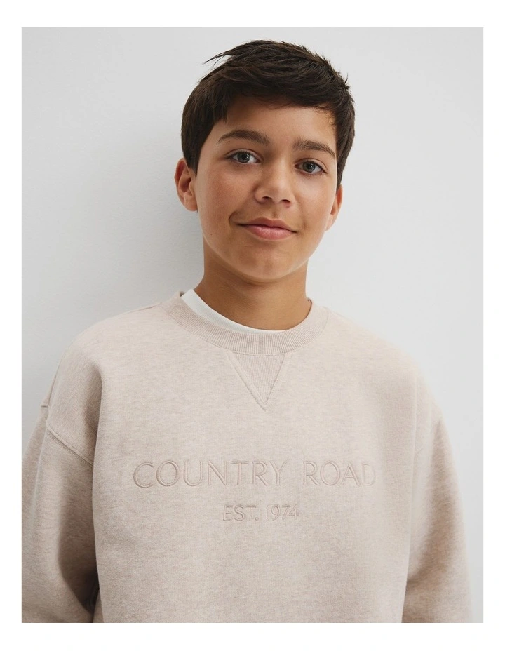 Teen Cotton Logo Crew Neck Sweat in Stone Marle image 3