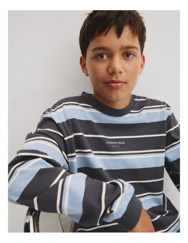 Teen Australian Cotton Relaxed Long Sleeve T-shirt in Graphite Stripe image 3