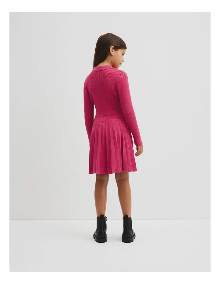 Long Sleeve Button Front Knit Dress in Rosewood image 3