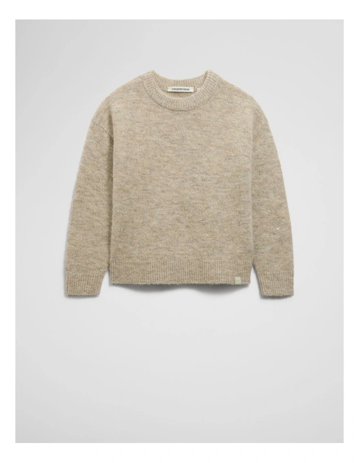 Sequin Fluffy Knit in Oatmeal image 4