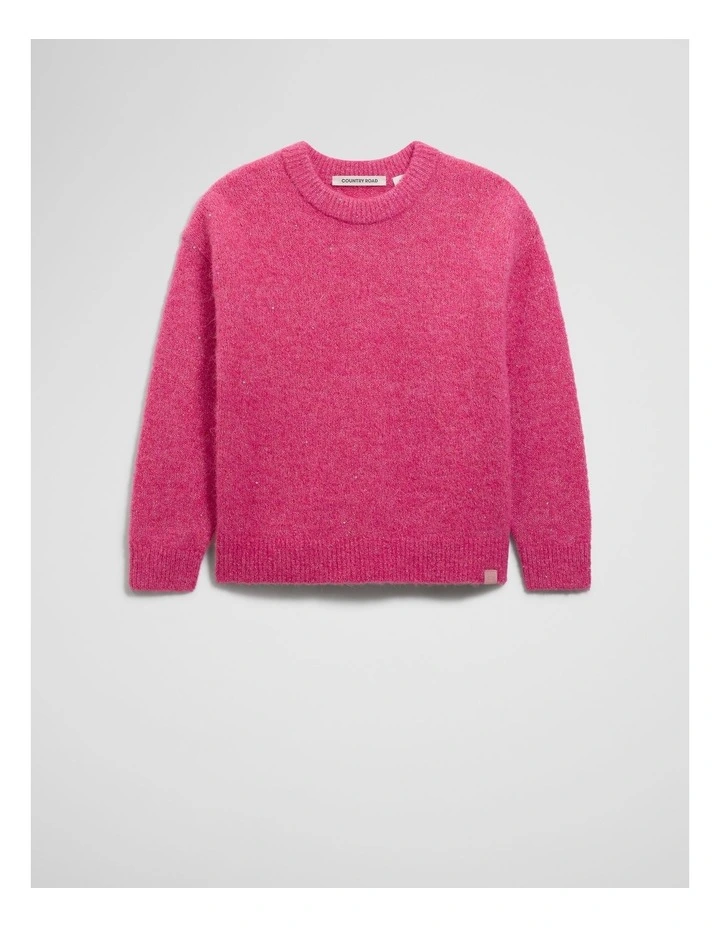 Sequin Fluffy Knit in Rosewood image 4