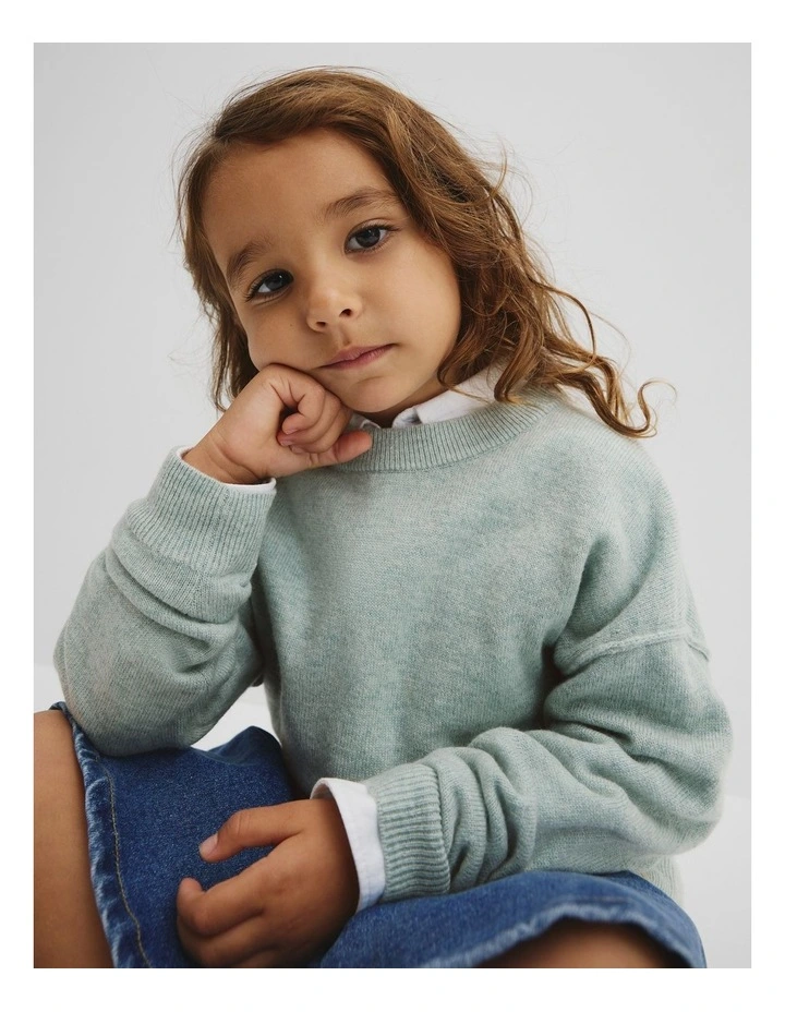 Wool Cashmere Blend Knit in Sage Marle image 1