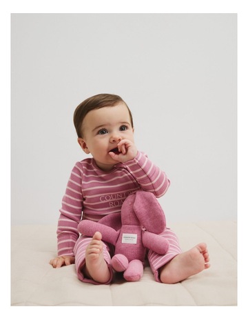 Berry Stripe colour