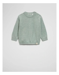 Merino Wool Cashmere Blend Knit in Sage Marle