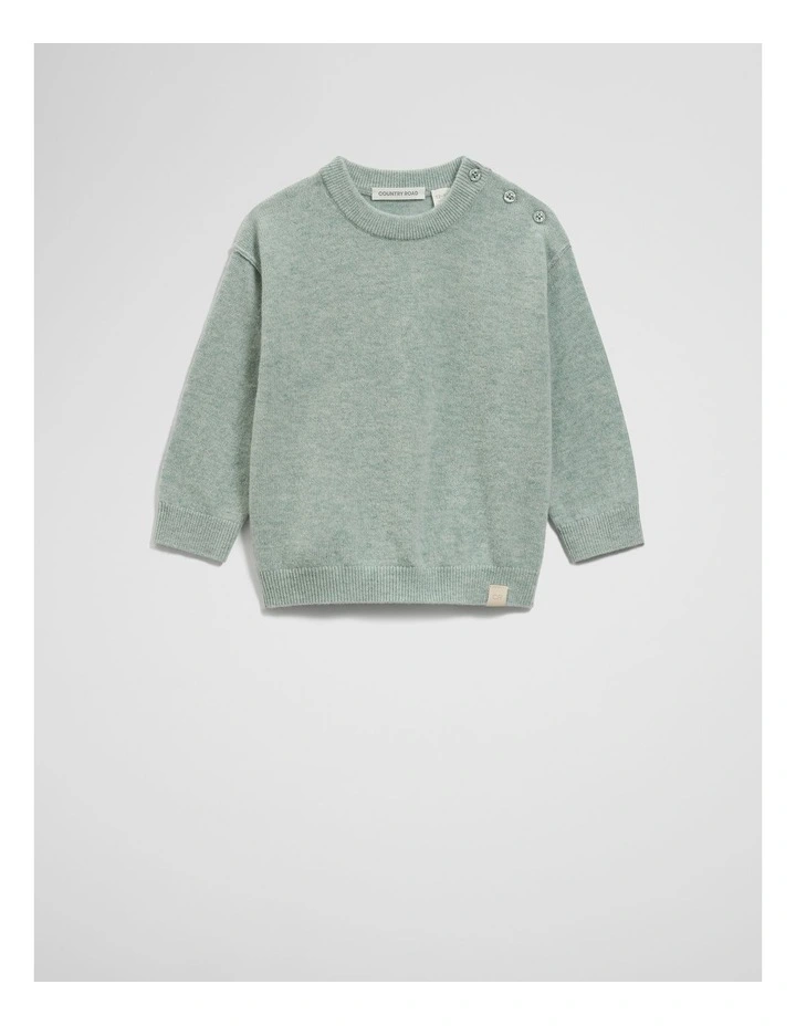 Merino Wool Cashmere Blend Knit in Sage Marle image 1