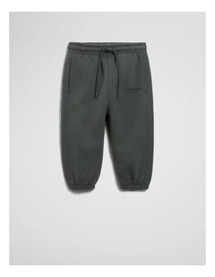 Australian Cotton Modern Track Pant in Graphite