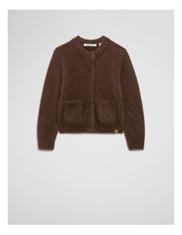 Cocoa colour