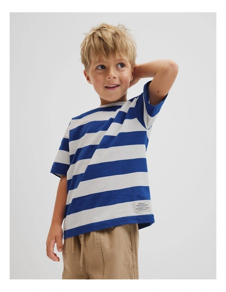 Oversized Stripe Short Sleeve T-shirt in Cobalt Stripe image 1